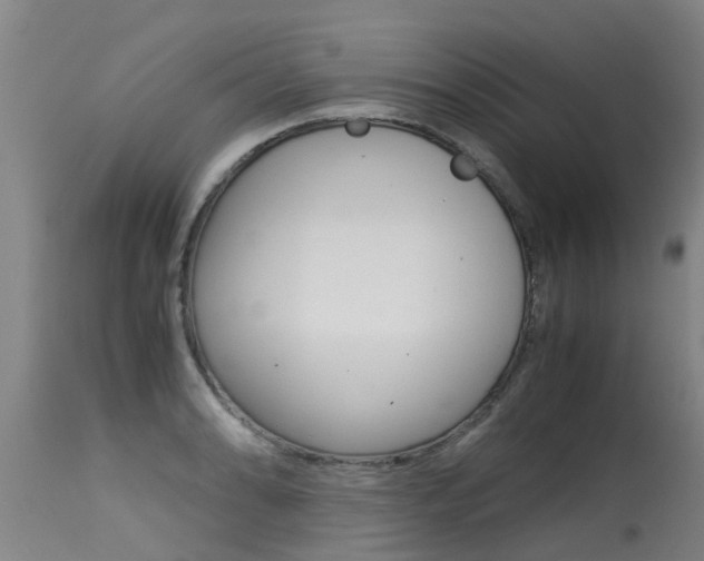 X0000115581086200911100948