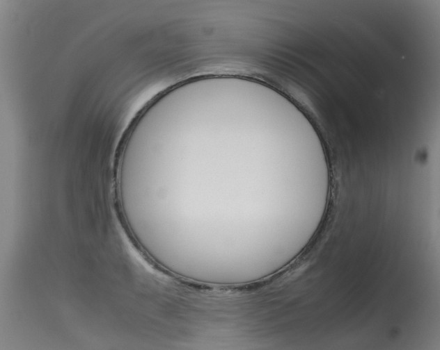 X0000115581087200911100948