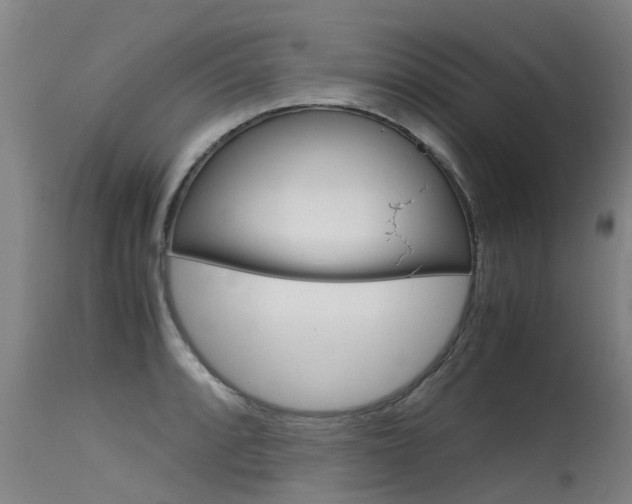 X0000115581088200911100948