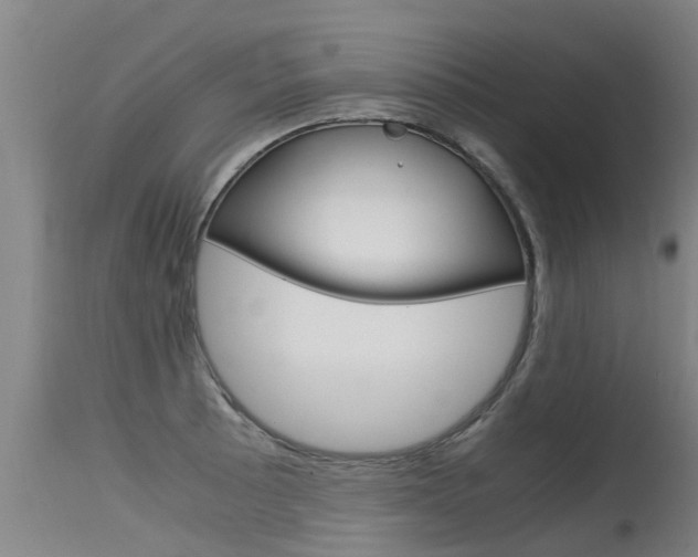 X0000115581089200911100948
