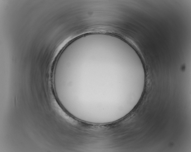 X0000115581091200911100948