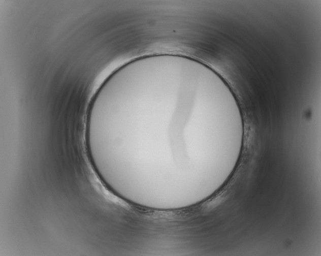 X0000115581094200911100948