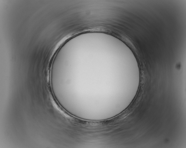 X0000115581095200911100948