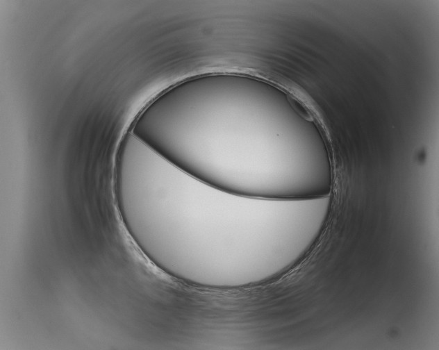 X0000115581096200911100948