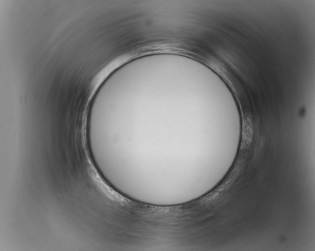 X0000115581098200911100948