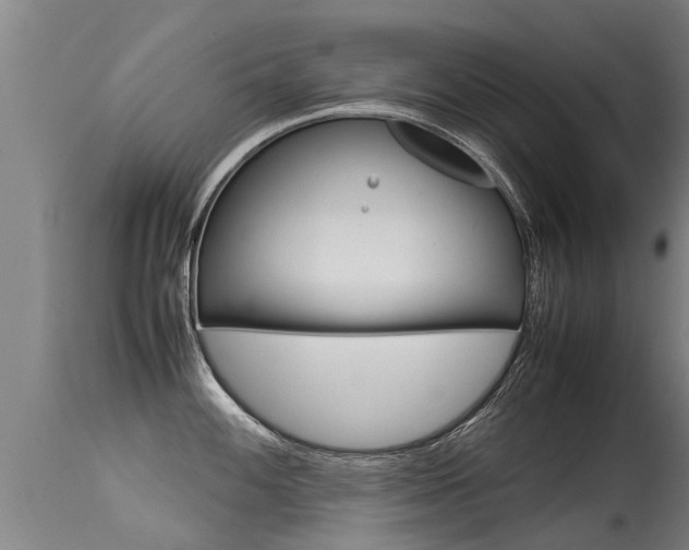 X0000115581100200911100948