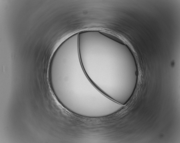 X0000115581101200911100948