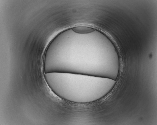 X0000115581102200911100948