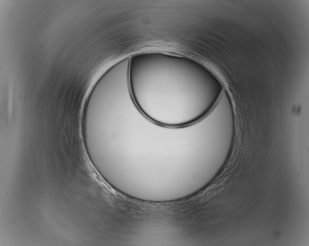 X0000115581104200911100948