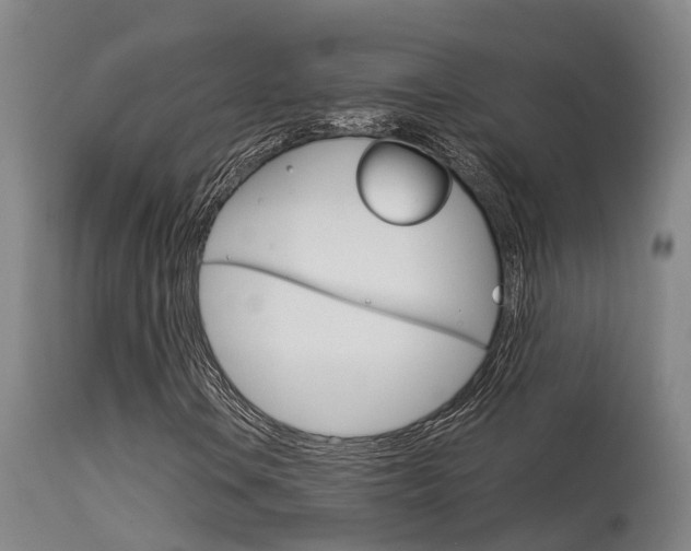 X0000115581106200911100947