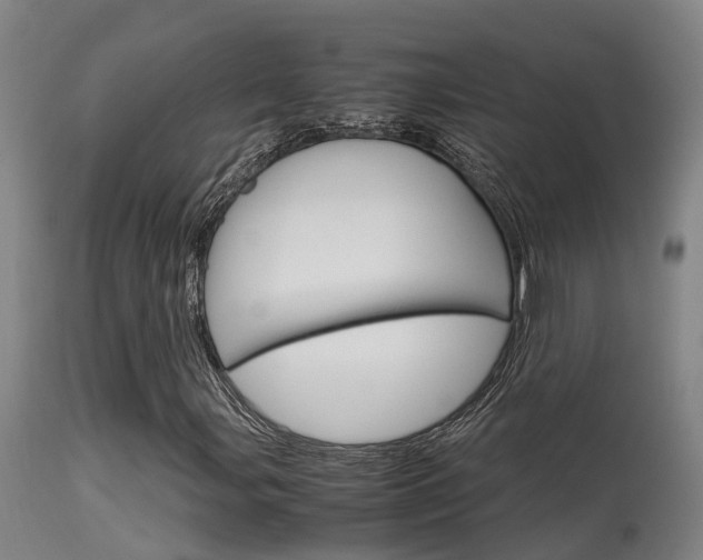 X0000115581107200911100947