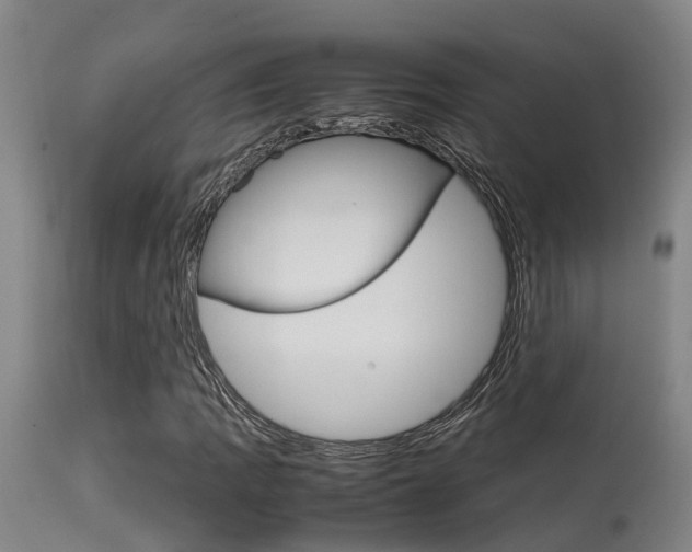 X0000115581109200911100947