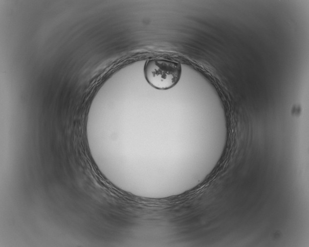 X0000115581110200911100947