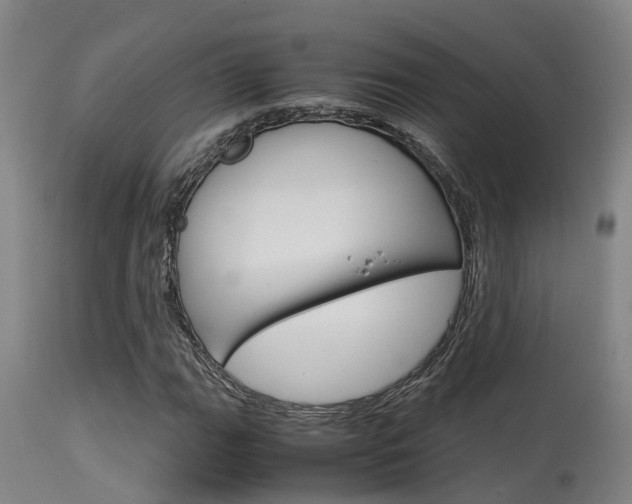 X0000115581111200911100947