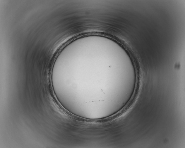 X0000115581113200911100947