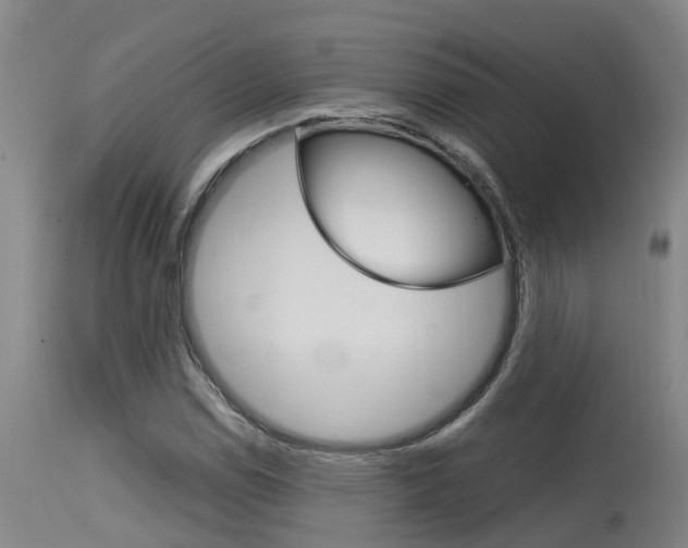 X0000115581114200911100947