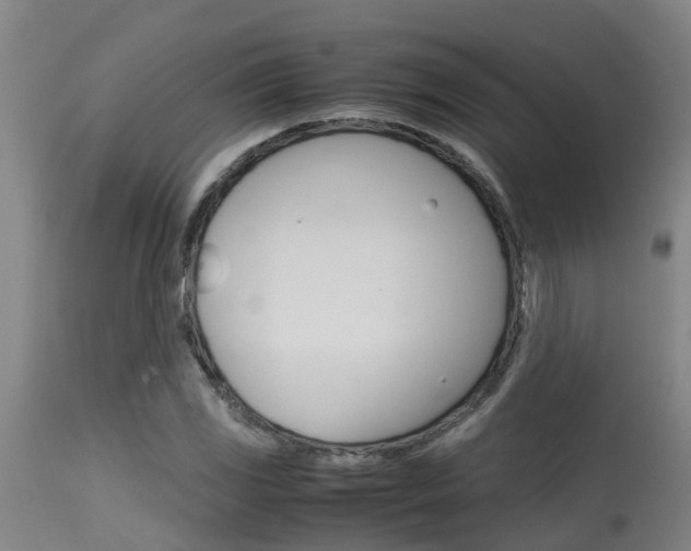 X0000115581117200911100947