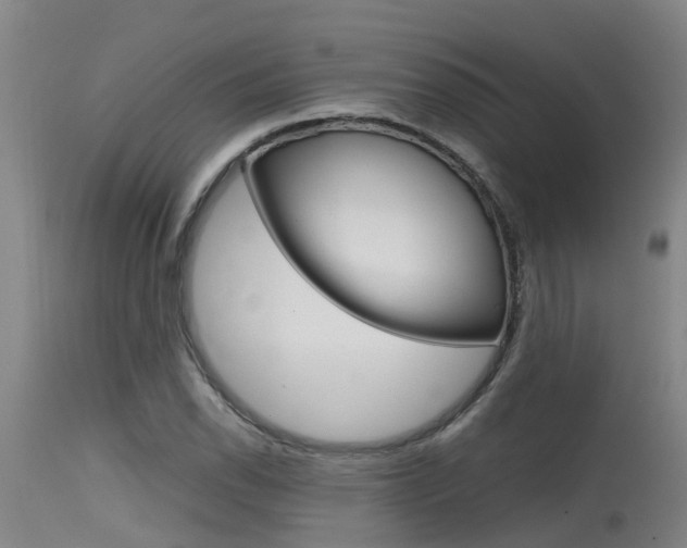 X0000115581118200911100947