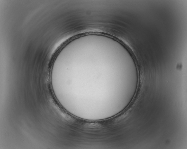X0000115581119200911100947
