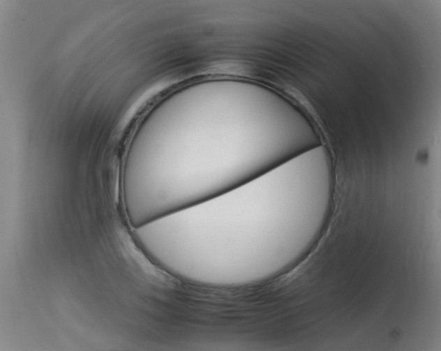 X0000115581123200911100948