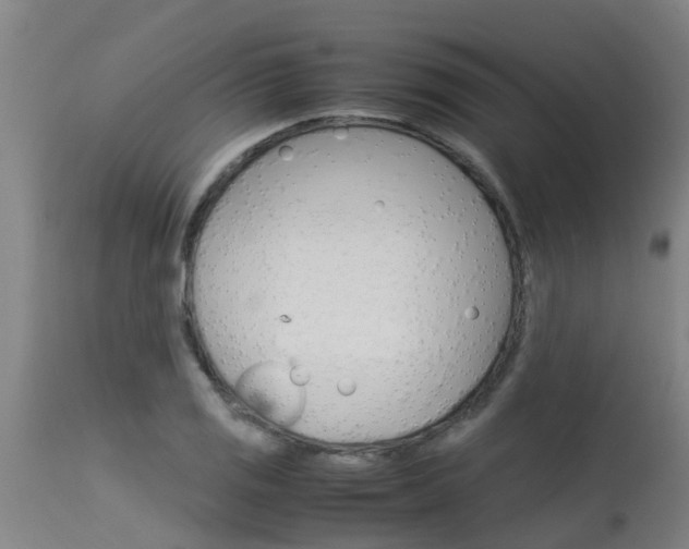 X0000115581125200911100948