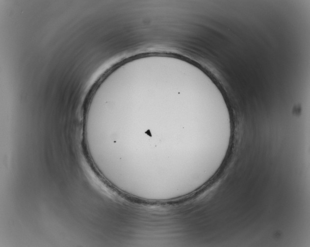 X0000115581126200911100948