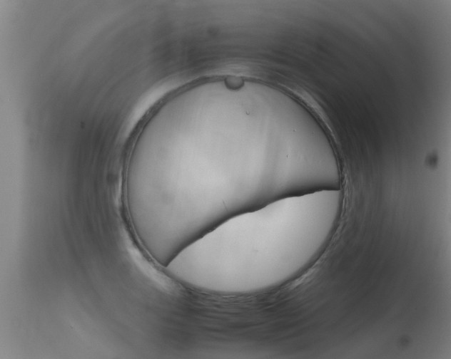 X0000115581131200911100948