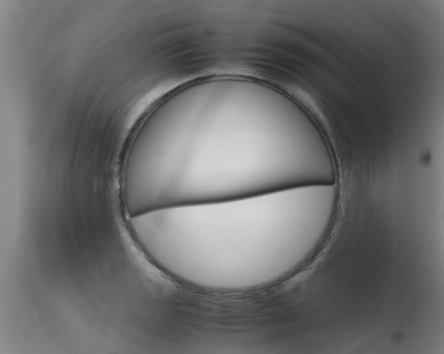 X0000115581133200911100948