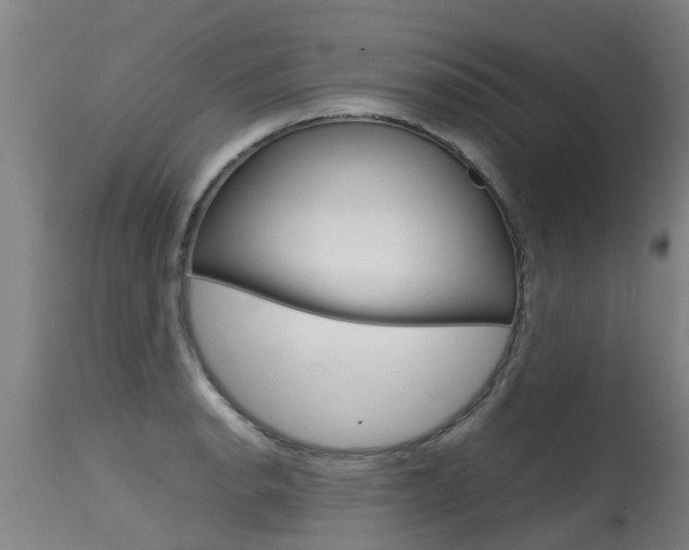 X0000115581134200911100948