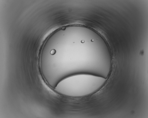 X0000115581135200911100948