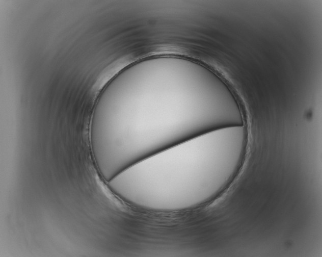 X0000115581137200911100948