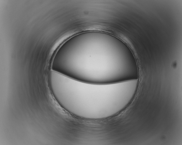 X0000115581138200911100948