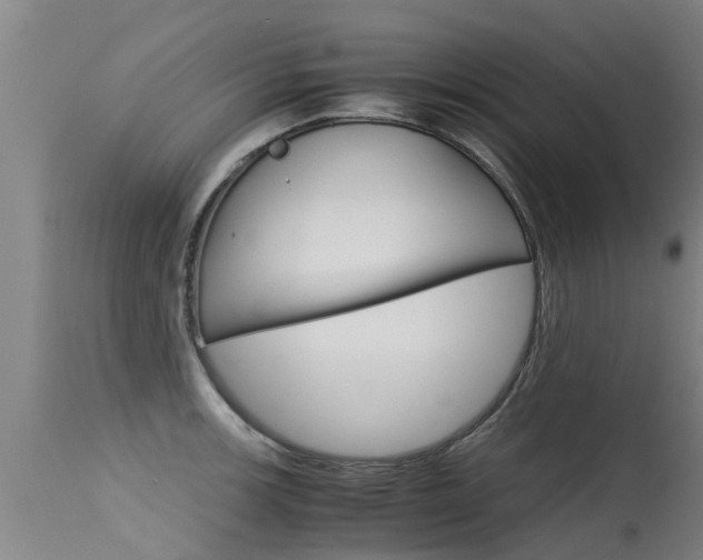X0000115581139200911100948