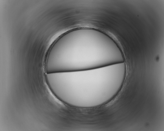 X0000115581141200911100948