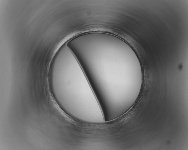 X0000115581142200911100948