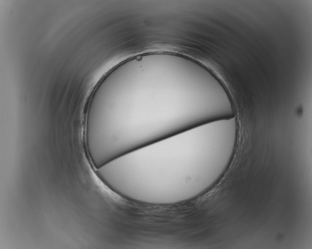 X0000115581143200911100948
