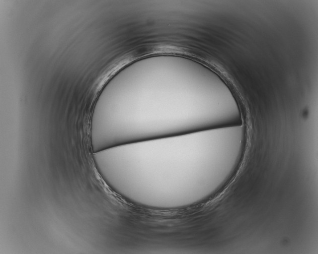 X0000115581145200911100948