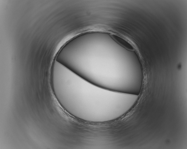 X0000115581146200911100948