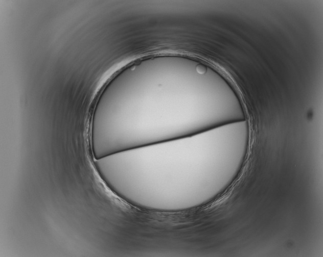 X0000115581149200911100948