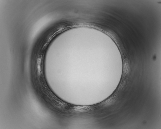 X0000115581150200911100948