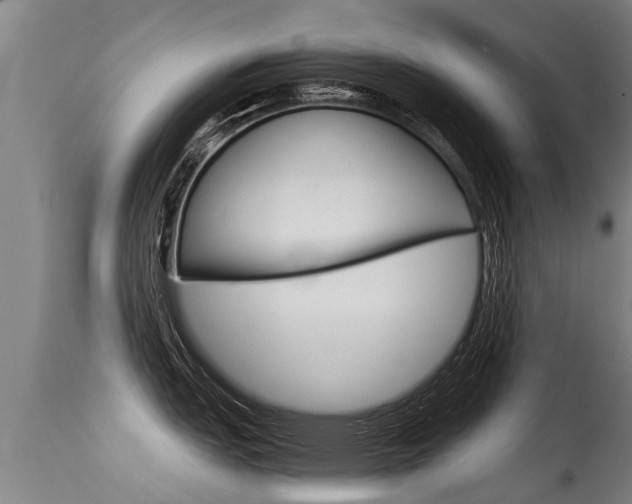 X0000115581151200911100948