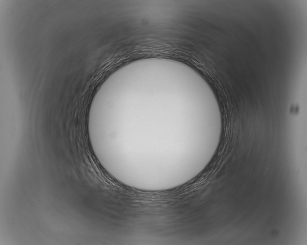 X0000115581153200911100947