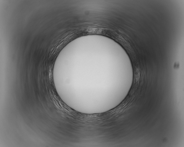 X0000115581154200911100947