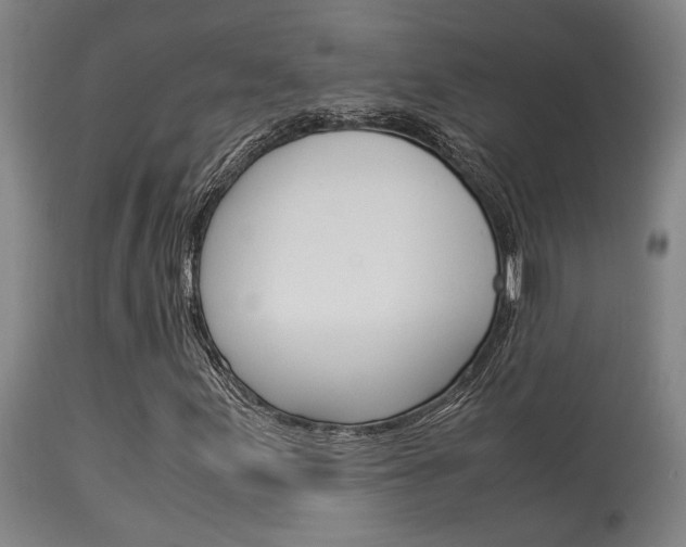 X0000115581155200911100947