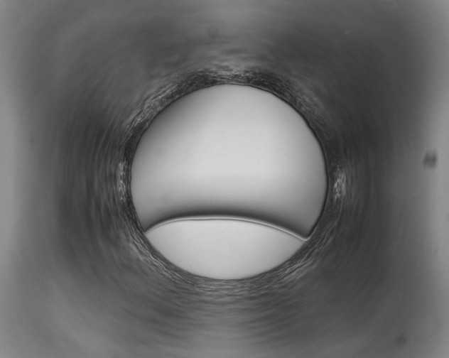 X0000115581156200911100947