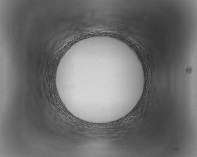 X0000115581157200911100947