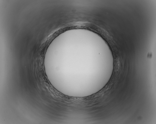 X0000115581158200911100947