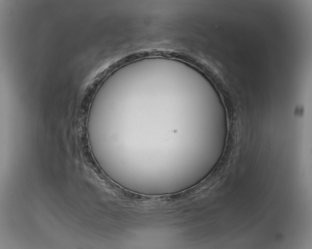 X0000115581159200911100947