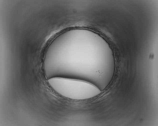 X0000115581160200911100947