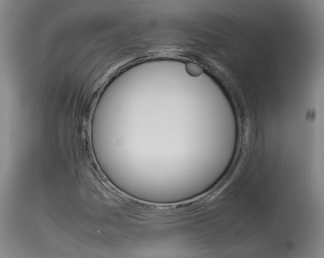 X0000115581161200911100947